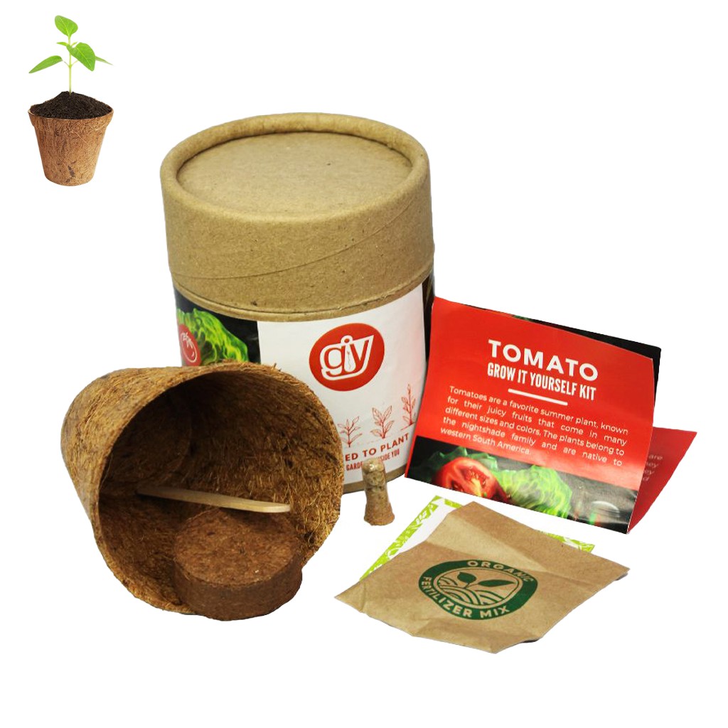 REGAL HOMEWARE Kit of Tomato Seeds with Coir Pot, Seed Germination Kits 100% Eco-Friendly Biodegradable Garden Nursery Coco Natural Cup kit