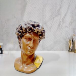 REGAL HOMEWARE David Bust Head Sculpture Michelangelo Greek Figurine, Room Office Bookshelf Art Decor, Retro Accent Gift, Brown (24Wx24Hx12L) CM